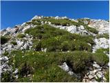 Planina Blato - Velika Tičarica